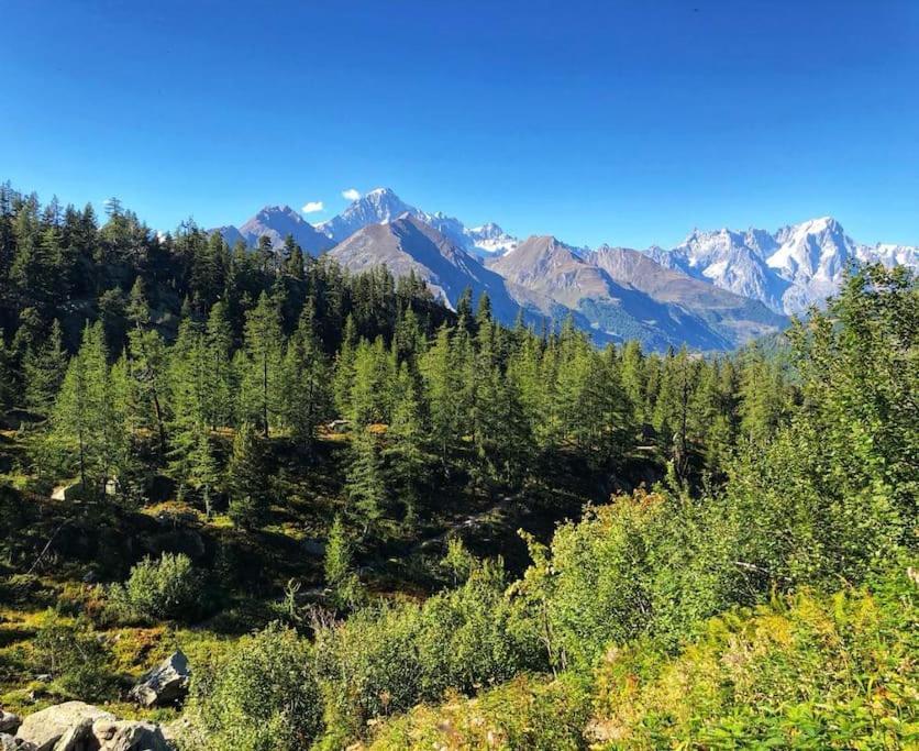 Appartamento Ampio Giardino Adiacente Piste Sci 4/6 Posti Letto La Thuile Exterior foto