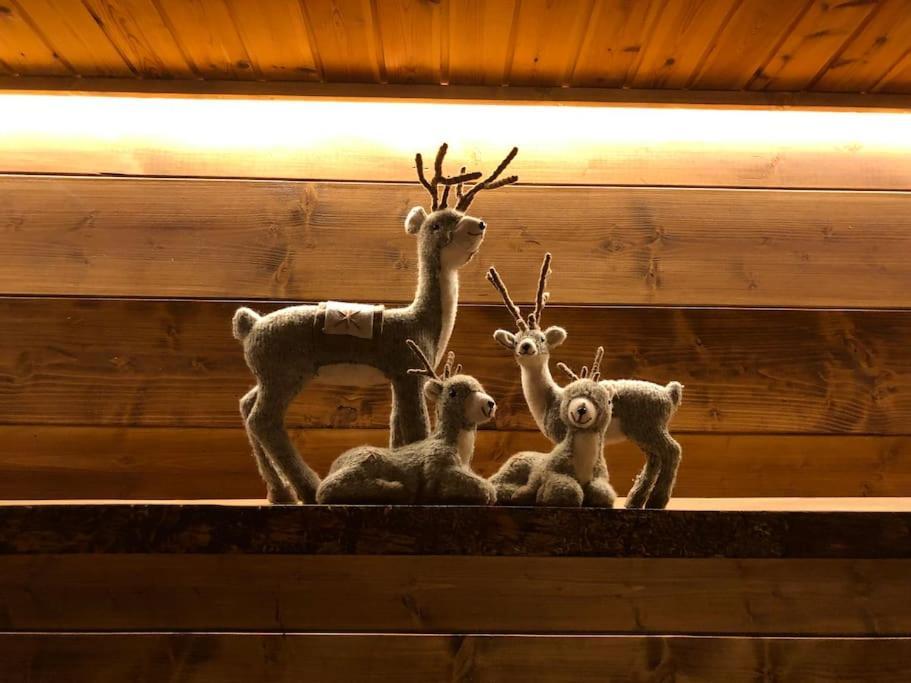 Appartamento Ampio Giardino Adiacente Piste Sci 4/6 Posti Letto La Thuile Exterior foto